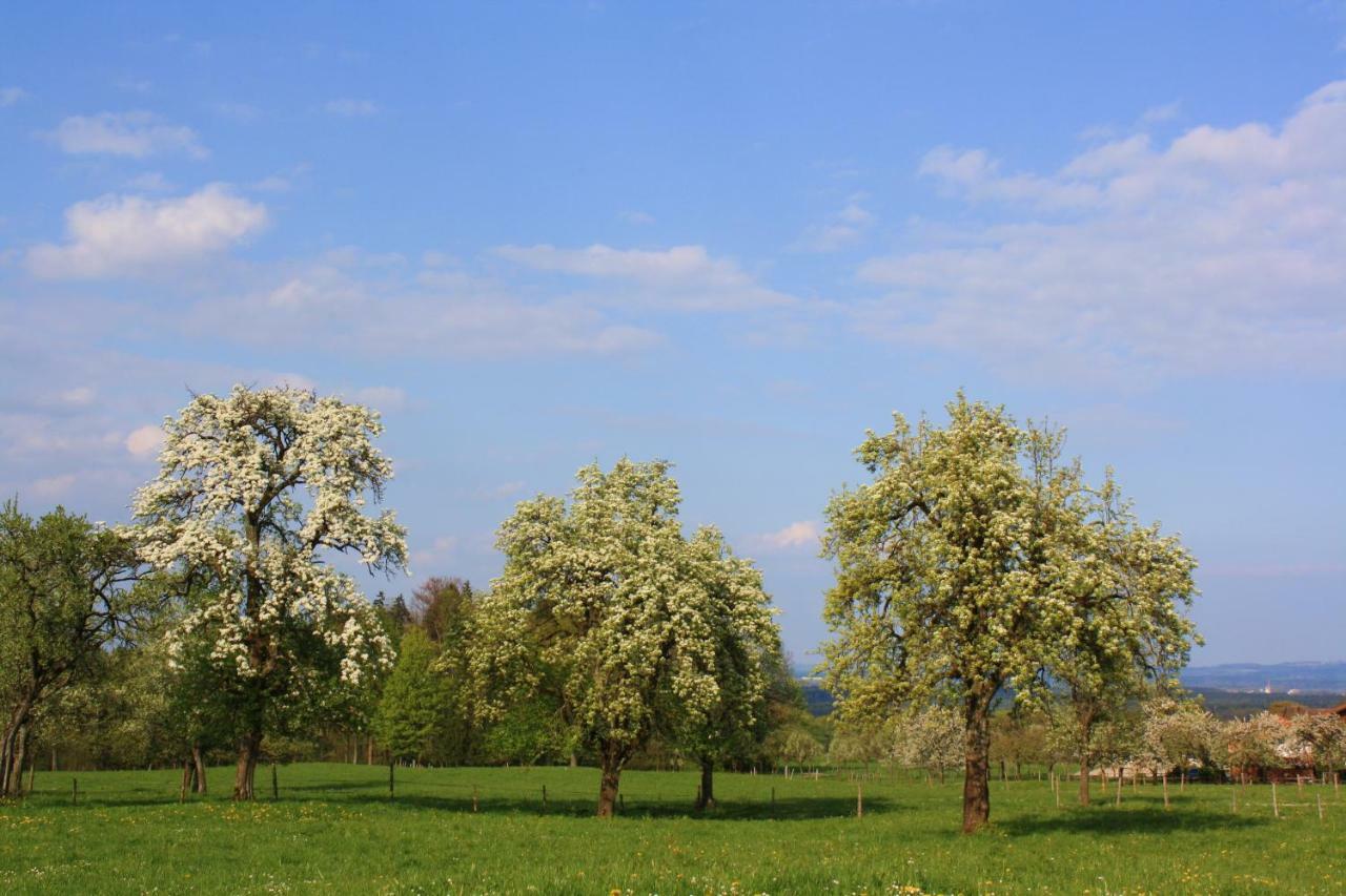 Appartements Apfelbluete Bad Feilnbach Luaran gambar
